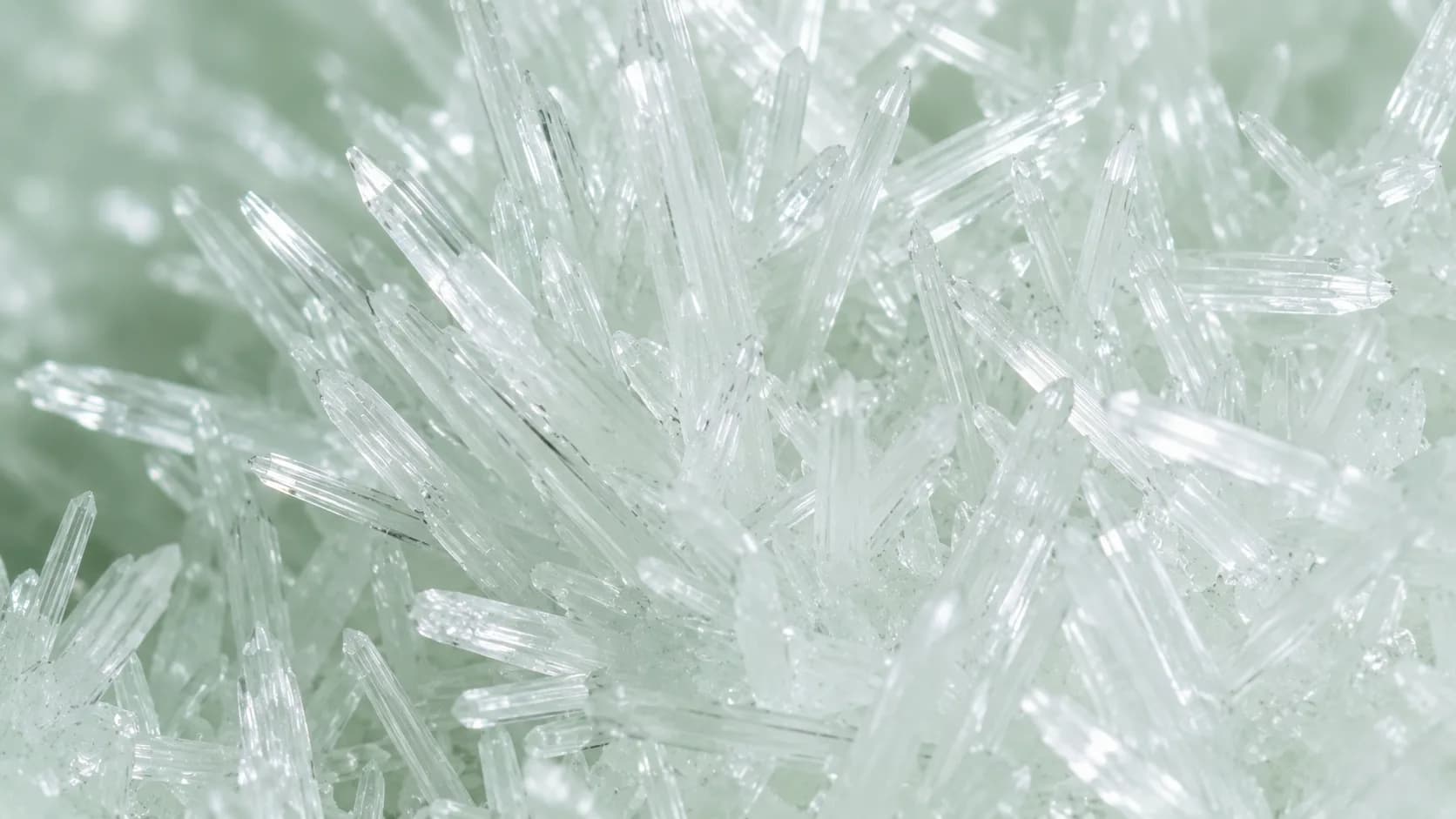 Benzoic Acid